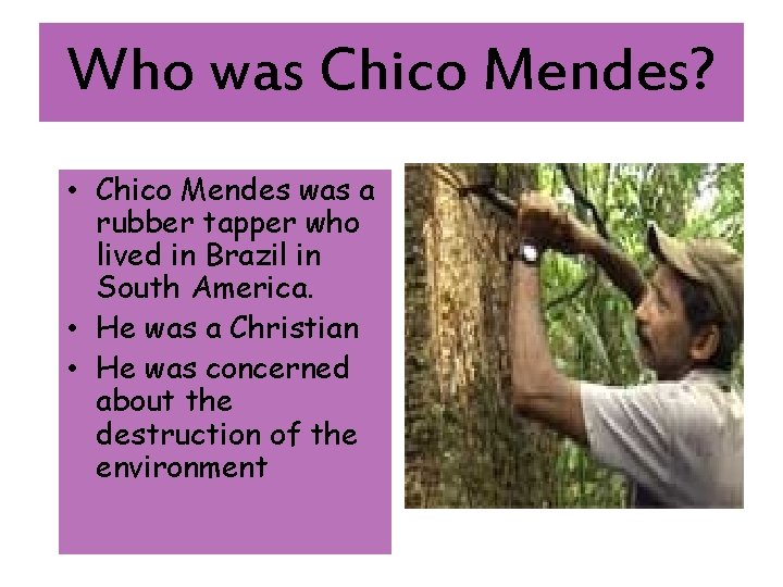 Who was Chico Mendes? • Chico Mendes was a rubber tapper who lived in