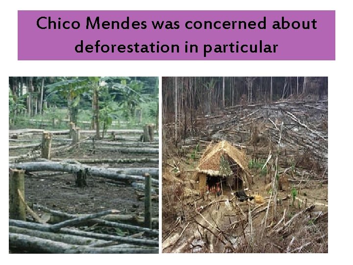 Chico Mendes was concerned about deforestation in particular 