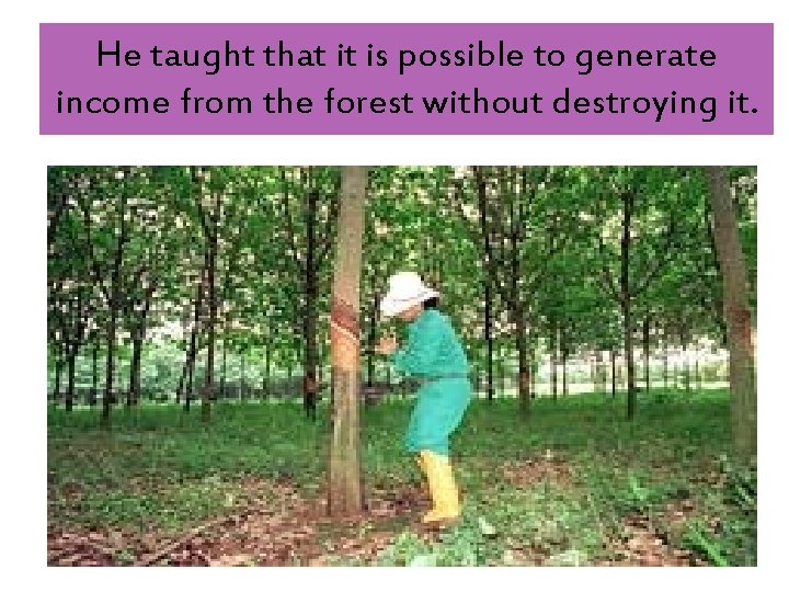 He taught that it is possible to generate income from the forest without destroying