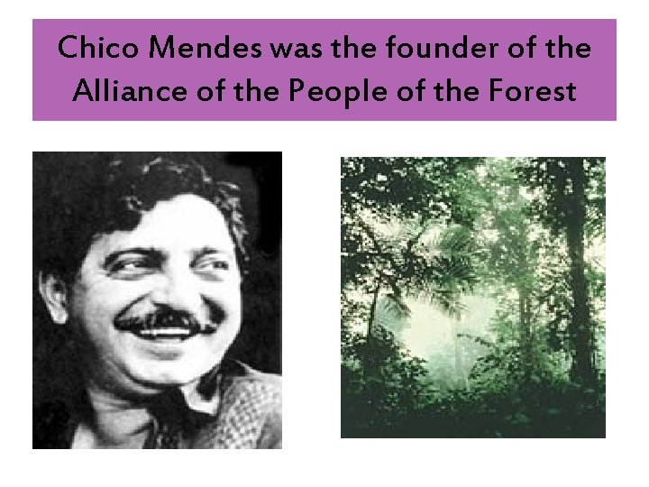 Chico Mendes was the founder of the Alliance of the People of the Forest