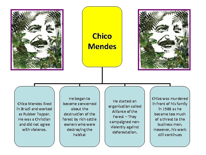 Chico Mendes lived in Brazil and worked as Rubber Tapper. He was a Christian