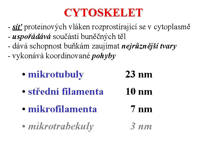 CYTOSKELET - síť proteinových vláken rozprostírající se v cytoplasmě - uspořádává součástí buněčných těl