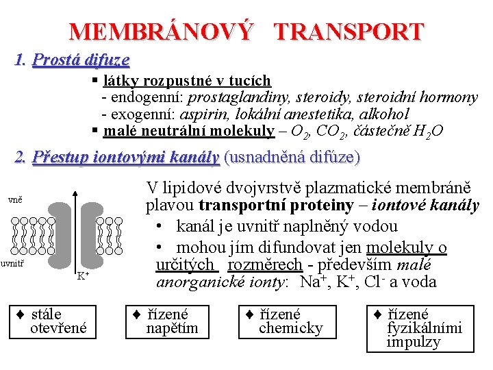 MEMBRÁNOVÝ TRANSPORT 1. Prostá difuze § látky rozpustné v tucích - endogenní: prostaglandiny, steroidní
