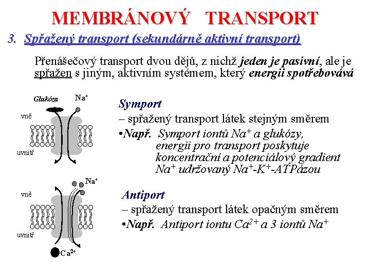 MEMBRÁNOVÝ TRANSPORT 3. Spřažený transport (sekundárně aktivní transport) Přenášečový transport dvou dějů, z nichž