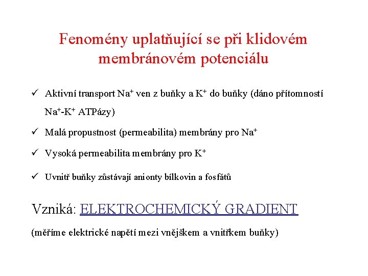 Fenomény uplatňující se při klidovém membránovém potenciálu ü Aktivní transport Na+ ven z buňky