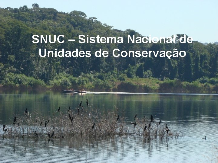 SNUC – Sistema Nacional de Unidades de Conservação 