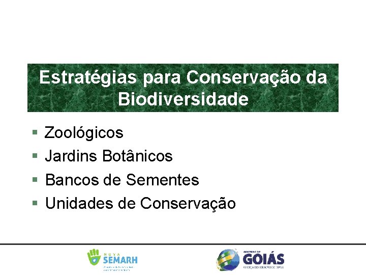 Estratégias para Conservação da Biodiversidade Zoológicos Jardins Botânicos Bancos de Sementes Unidades de Conservação