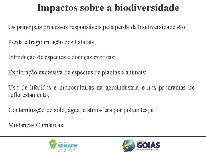 Impactos sobre a biodiversidade Os principais processos responsáveis pela perda da biodiversidade são: Perda