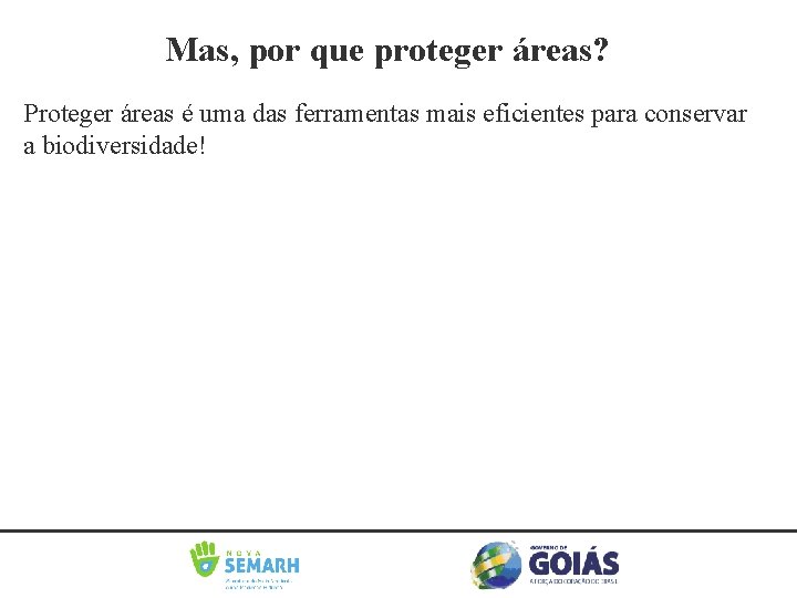 Mas, por que proteger áreas? Proteger áreas é uma das ferramentas mais eficientes para