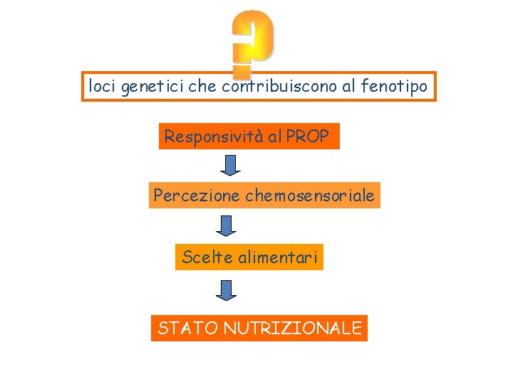 loci genetici che contribuiscono al fenotipo Responsività al PROP Percezione chemosensoriale Scelte alimentari STATO