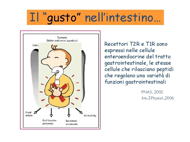 Il “gusto” nell’intestino… Recettori T 2 R e T 1 R sono espressi nelle