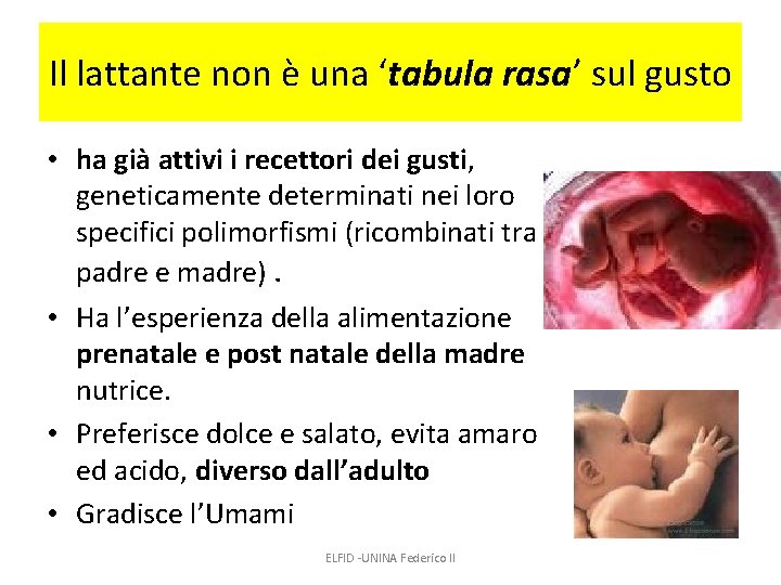 Il lattante non è una ‘tabula rasa’ sul gusto • ha già attivi i