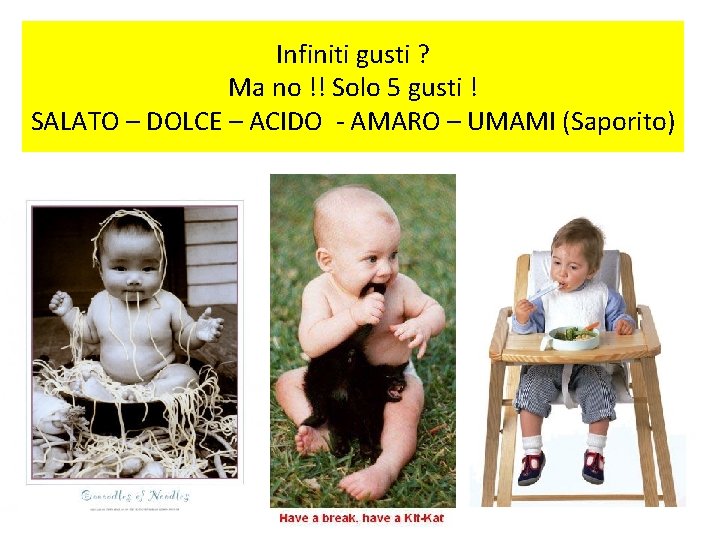 Infiniti gusti ? Ma no !! Solo 5 gusti ! SALATO – DOLCE –