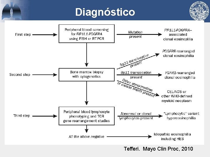 Diagnóstico Tefferi. Mayo Clin Proc, 2010 