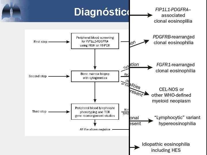 Diagnóstico Tefferi. Mayo Clin Proc, 2010 