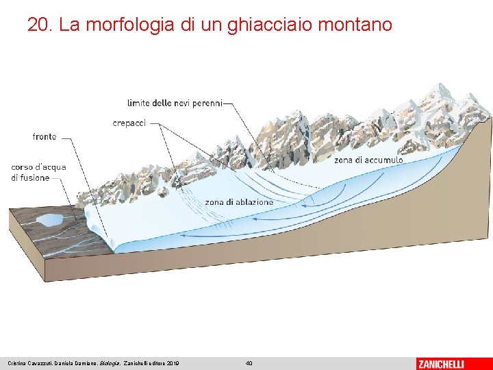 20. La morfologia di un ghiacciaio montano Cristina Cavazzuti, Daniela Damiano, Biologia, Zanichelli editore