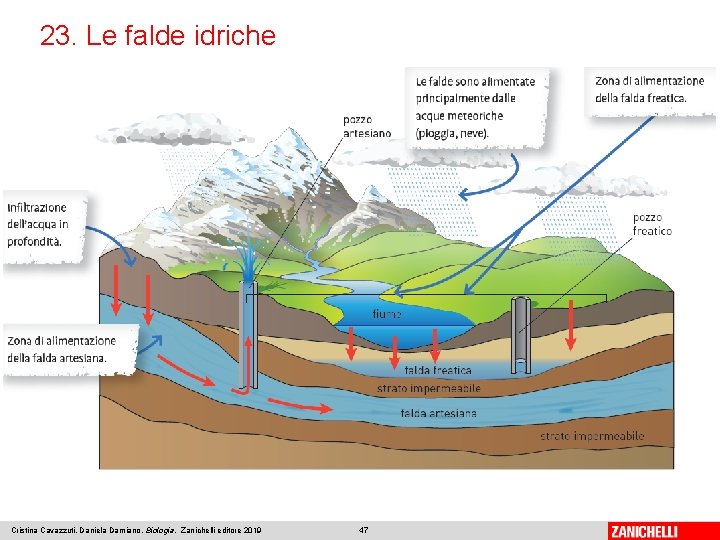 23. Le falde idriche Cristina Cavazzuti, Daniela Damiano, Biologia, Zanichelli editore 2019 47 