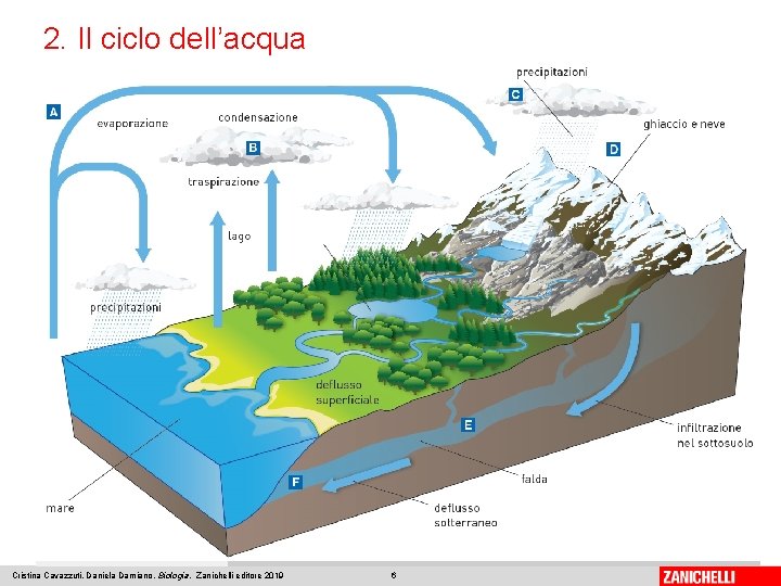 2. Il ciclo dell’acqua Cristina Cavazzuti, Daniela Damiano, Biologia, Zanichelli editore 2019 6 