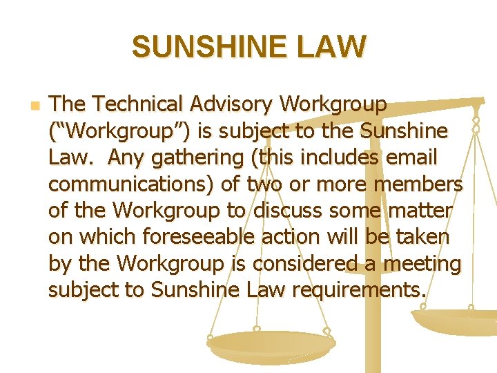 SUNSHINE LAW n The Technical Advisory Workgroup (“Workgroup”) is subject to the Sunshine Law.