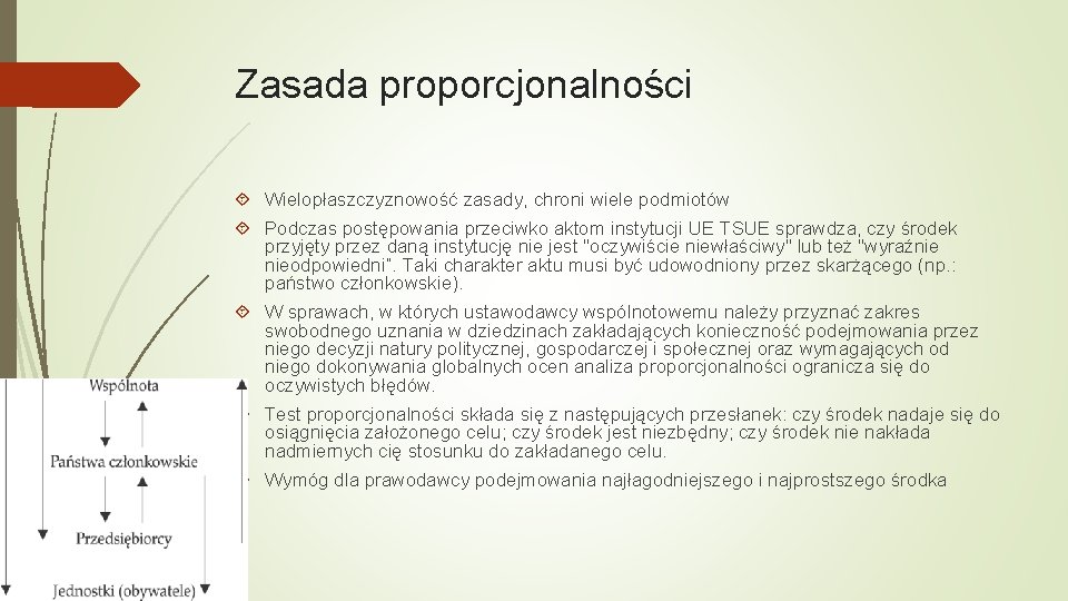 Zasada proporcjonalności Wielopłaszczyznowość zasady, chroni wiele podmiotów Podczas postępowania przeciwko aktom instytucji UE TSUE