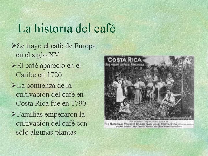 La historia del café ØSe trayo el café de Europa en el siglo XV