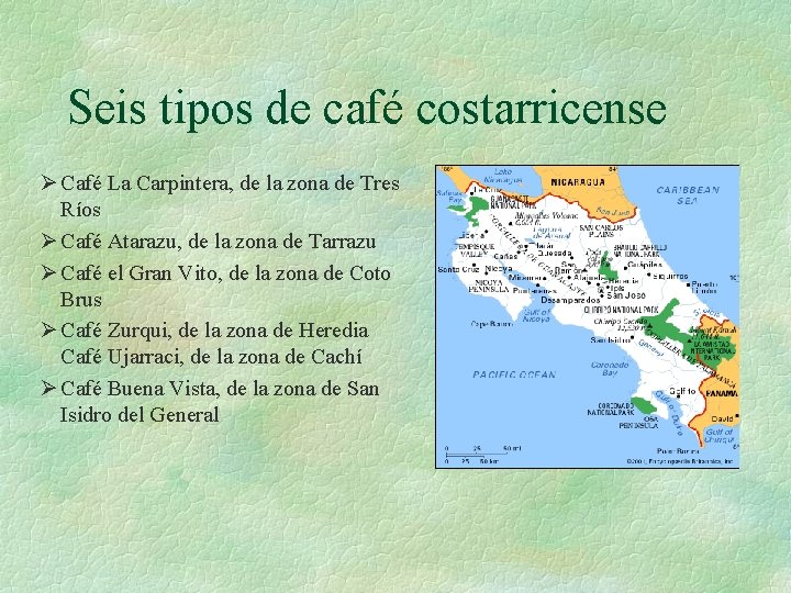 Seis tipos de café costarricense Ø Café La Carpintera, de la zona de Tres