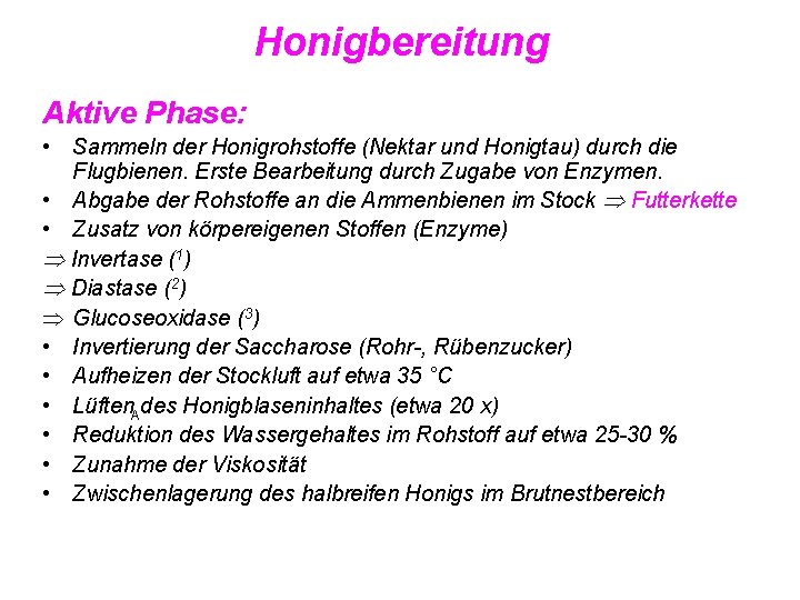 Honigbereitung Aktive Phase: • Sammeln der Honigrohstoffe (Nektar und Honigtau) durch die Flugbienen. Erste