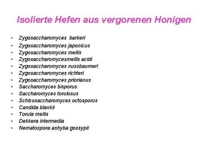 Isolierte Hefen aus vergorenen Honigen • • • • Zygosaccharomyces barkeri Zygosaccharomyces japonicus Zygosaccharomyces