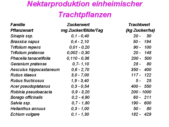 Nektarproduktion einheimischer Trachtpflanzen Familie Zuckerwert Pflanzenart mg Zucker/Blüte/Tag Sinapis ssp. 0, 1 - 0,