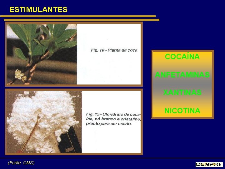 ESTIMULANTES COCAÍNA ANFETAMINAS XANTINAS NICOTINA (Fonte: OMS) 