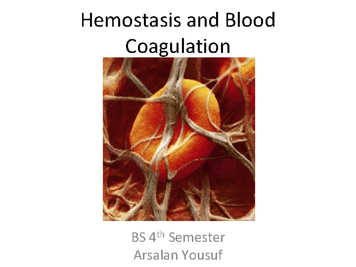 Hemostasis and Blood Coagulation BS 4 th Semester Arsalan Yousuf 