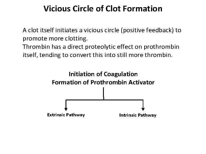 Vicious Circle of Clot Formation A clot itself initiates a vicious circle (positive feedback)