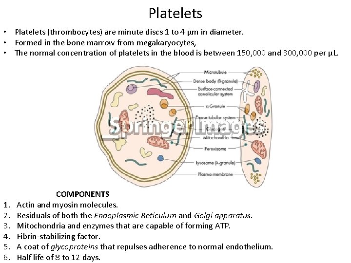 Platelets • Platelets (thrombocytes) are minute discs 1 to 4 μm in diameter. •