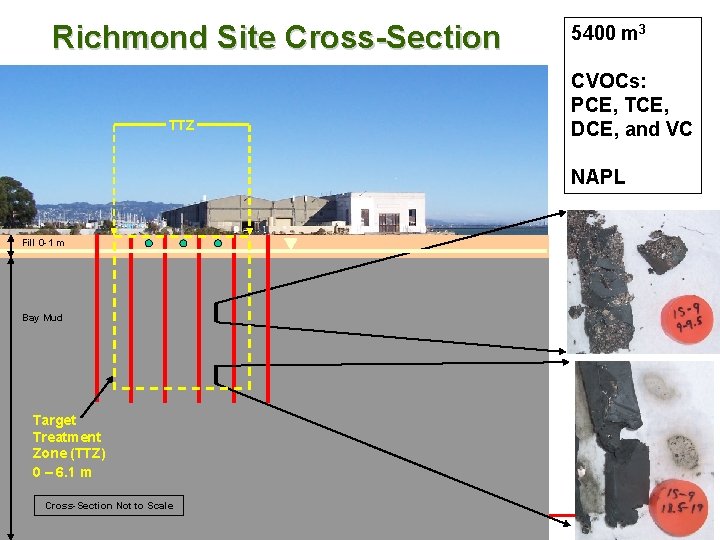 Richmond Site Cross-Section TTZ 5400 m 3 CVOCs: PCE, TCE, DCE, and VC NAPL