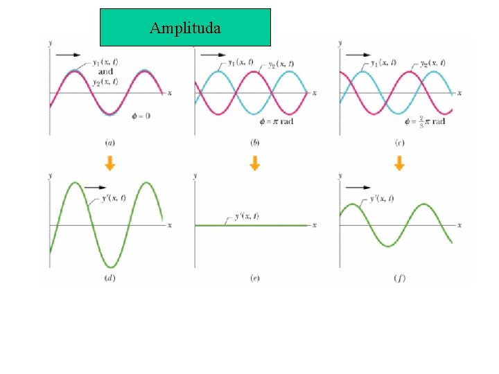 Amplituda 