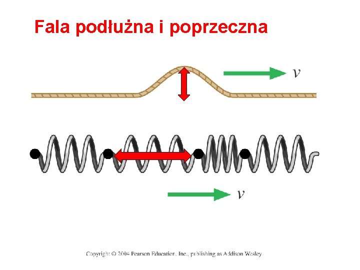 Fala podłużna i poprzeczna 