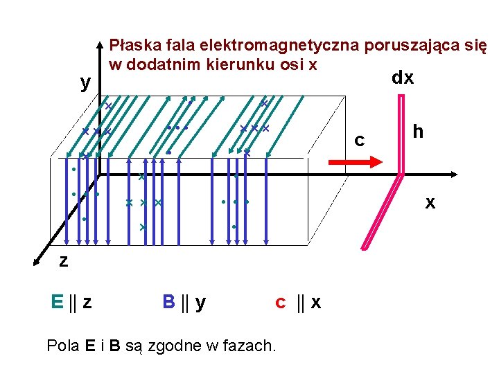 y Płaska fala elektromagnetyczna poruszająca się w dodatnim kierunku osi x dx • •