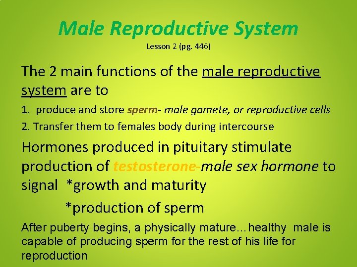 Male Reproductive System Lesson 2 (pg. 446) The 2 main functions of the male