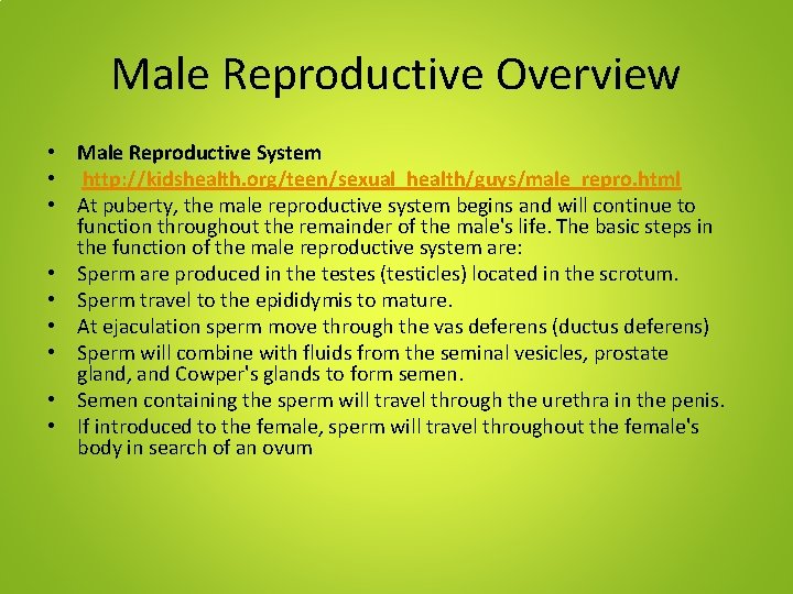 Male Reproductive Overview • Male Reproductive System • http: //kidshealth. org/teen/sexual_health/guys/male_repro. html • At