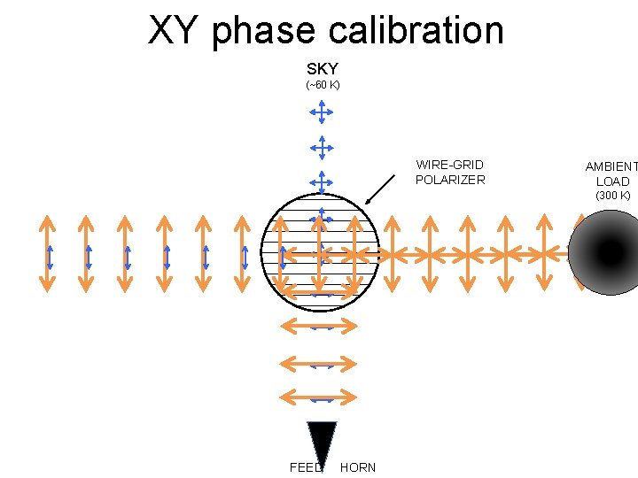 XY phase calibration SKY (~60 K) WIRE-GRID POLARIZER AMBIENT LOAD (300 K) FEED HORN XY phase calibration SKY (~60 K) WIRE-GRID POLARIZER AMBIENT LOAD (300 K) FEED HORN
