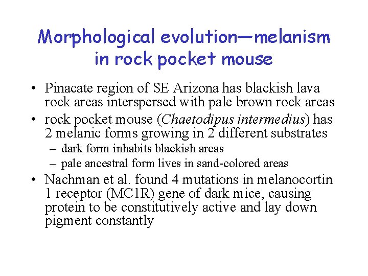 Morphological evolution—melanism in rock pocket mouse • Pinacate region of SE Arizona has blackish