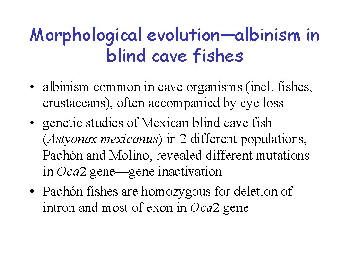 Morphological evolution—albinism in blind cave fishes • albinism common in cave organisms (incl. fishes,