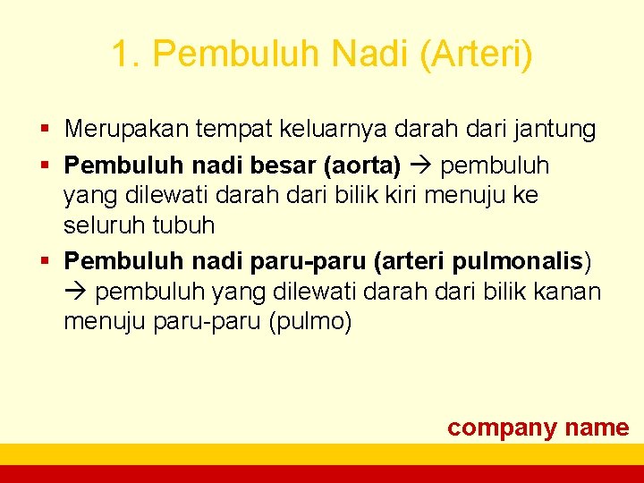 1. Pembuluh Nadi (Arteri) § Merupakan tempat keluarnya darah dari jantung § Pembuluh nadi
