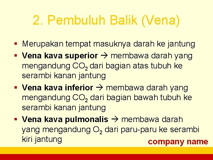 2. Pembuluh Balik (Vena) § Merupakan tempat masuknya darah ke jantung § Vena kava