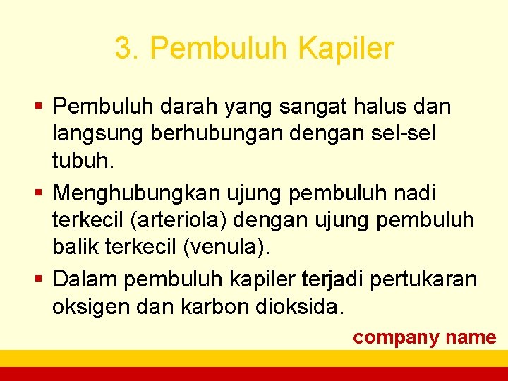3. Pembuluh Kapiler § Pembuluh darah yang sangat halus dan langsung berhubungan dengan sel-sel