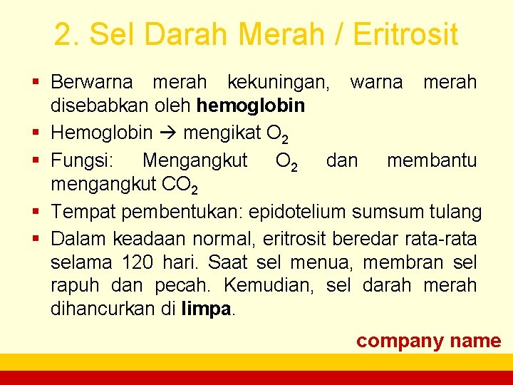 2. Sel Darah Merah / Eritrosit § Berwarna merah kekuningan, warna merah disebabkan oleh