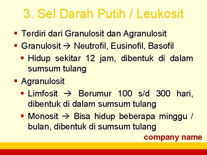 3. Sel Darah Putih / Leukosit § Terdiri dari Granulosit dan Agranulosit § Granulosit