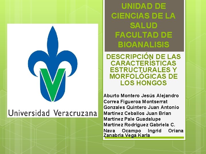 UNIDAD DE CIENCIAS DE LA SALUD FACULTAD DE BIOANALISIS DESCRIPCIÓN DE LAS CARACTERÍSTICAS ESTRUCTURALES UNIDAD DE CIENCIAS DE LA SALUD FACULTAD DE BIOANALISIS DESCRIPCIÓN DE LAS CARACTERÍSTICAS ESTRUCTURALES