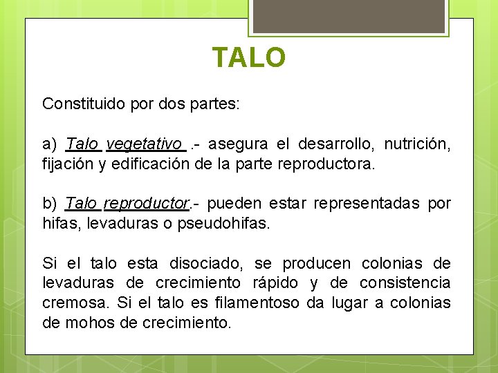 TALO Constituido por dos partes: a) Talo vegetativo. - asegura el desarrollo, nutrición, fijación TALO Constituido por dos partes: a) Talo vegetativo. - asegura el desarrollo, nutrición, fijación