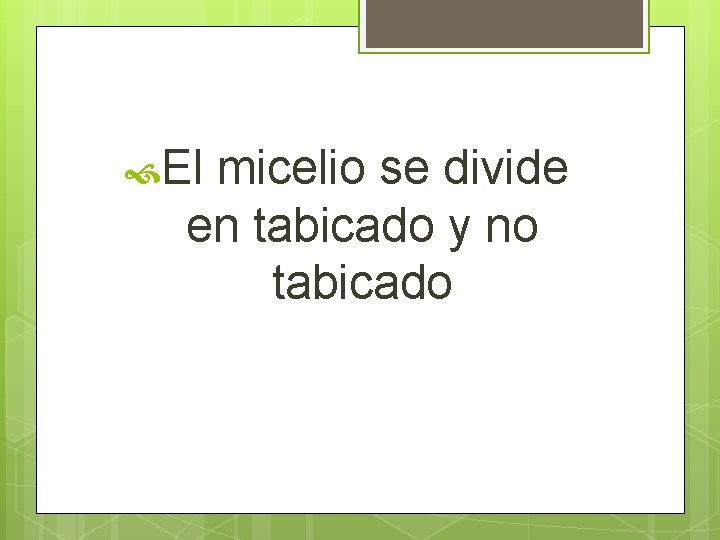 El micelio se divide en tabicado y no tabicado El micelio se divide en tabicado y no tabicado